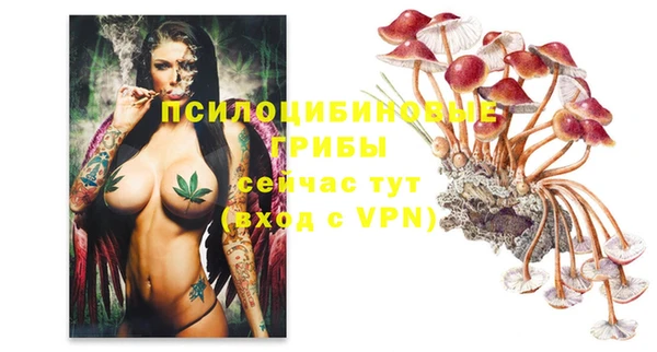 мдпв Бугульма
