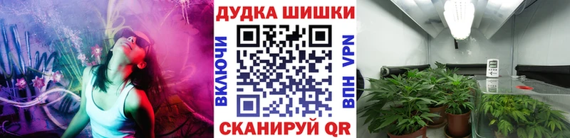 Шишки марихуана индика  наркотики  kraken вход  Новочеркасск 